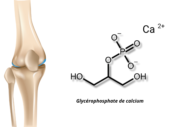 schéma moléculaire de la Glycerophosphate de calcium